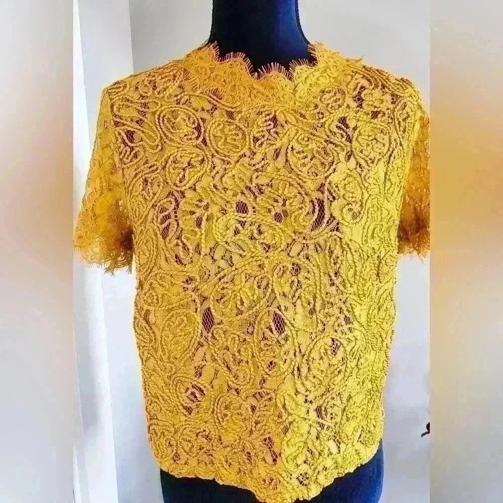 Zara Trafaluc Embroidered Lace Top.